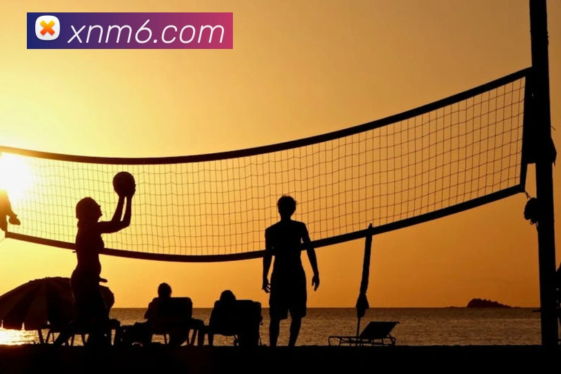 米乐m6平台生态图