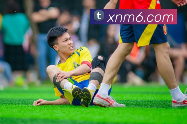 米乐m6APP 封面图